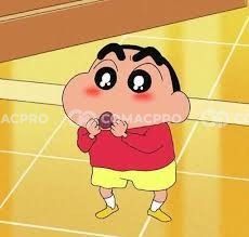 Máy xúc mini AICHI PC210-6 - 2024