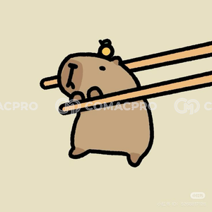 Máy xúc bánh xích AIRMAN 532523 - 2019