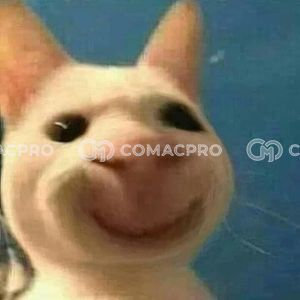 Máy xúc bánh xích AMMANN 111111 - 2022 deal 1