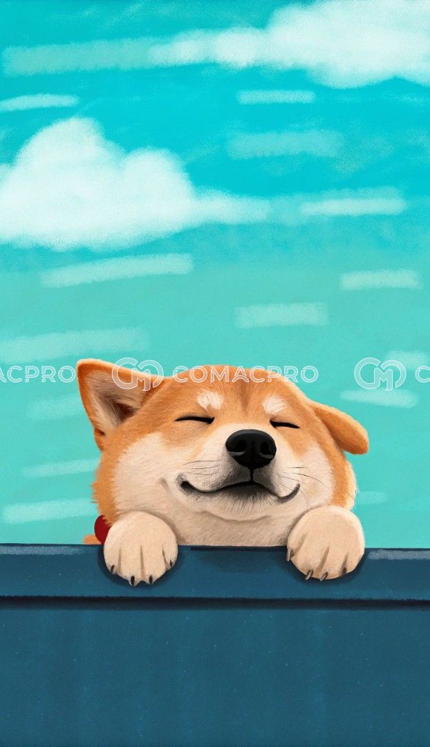 Máy xúc mini AICHI PC200-1 - 2017