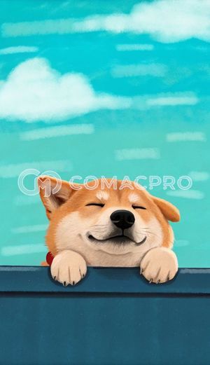 Máy xúc mini AICHI PC200-1 - 2017