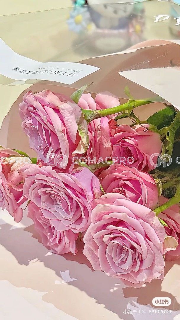 Máy xúc mini AICHI TC212525 - 2018