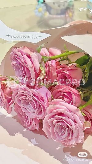 Máy xúc mini AICHI TC212525 - 2018